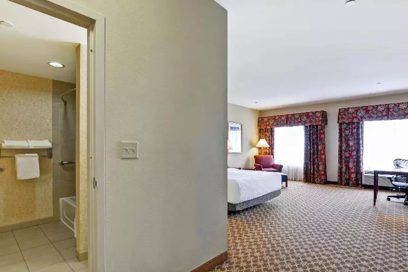 キングサイズベッドのデラックスルーム, Hilton Garden Inn Amarillo