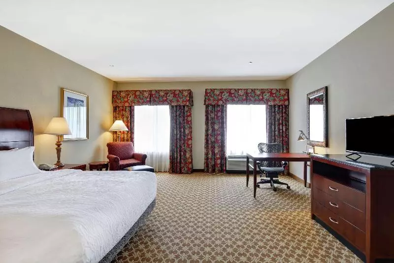 キングサイズベッドのデラックスルーム, Hilton Garden Inn Amarillo