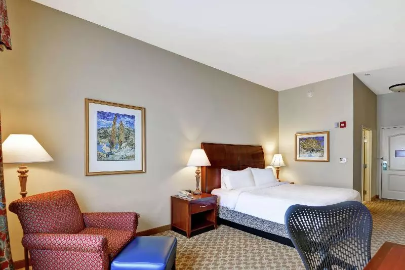 キングサイズベッドのデラックスルーム, Hilton Garden Inn Amarillo
