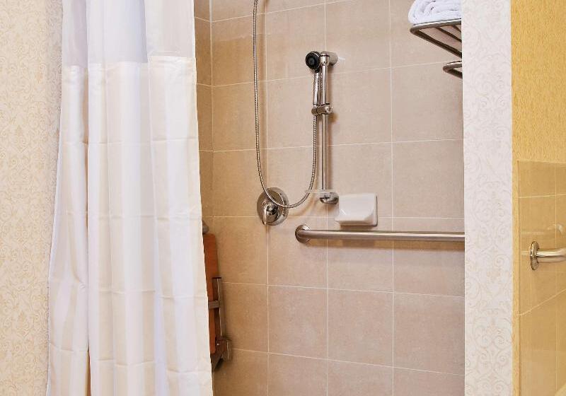 חדר סטנדרט עם מיטת קינג, Hilton Garden Inn Amarillo