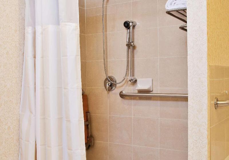 스탠다드 룸 킹사이즈 침대, Hilton Garden Inn Amarillo