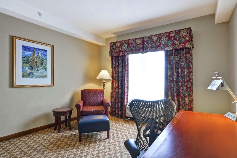 스탠다드 룸 킹사이즈 침대, Hilton Garden Inn Amarillo