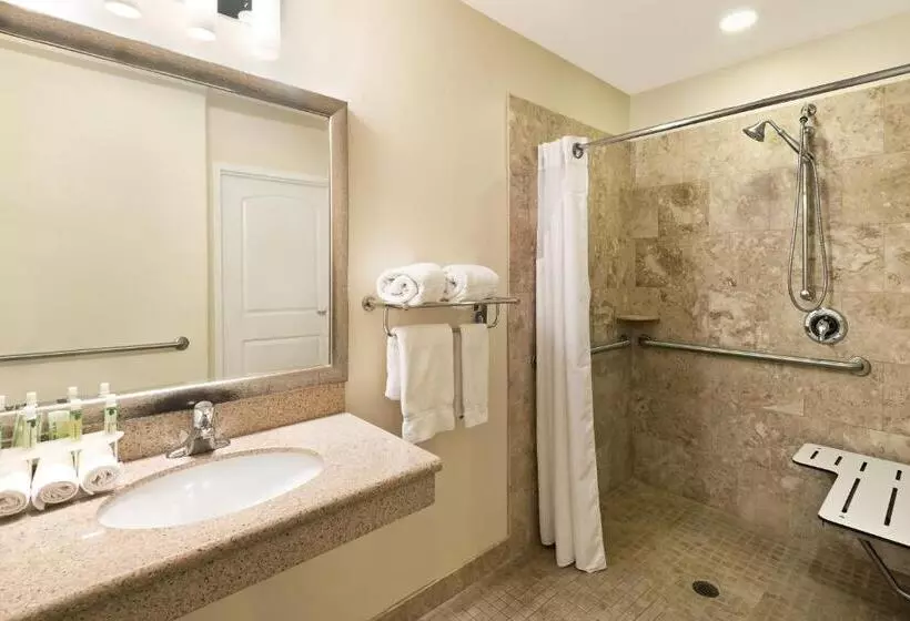 身障者適用キングサイズベッドルーム, Holiday Inn Express & Suites Casa Grande, An Ihg