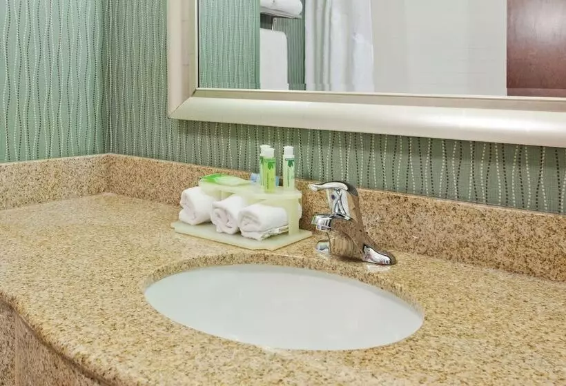 スイート, Holiday Inn Express Hotel & Suites Cordele North By Ihg