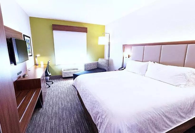 キングサイズベッドのスタンダードルーム, Holiday Inn Express Hotel & Suites Crestview South I 10, An Ihg