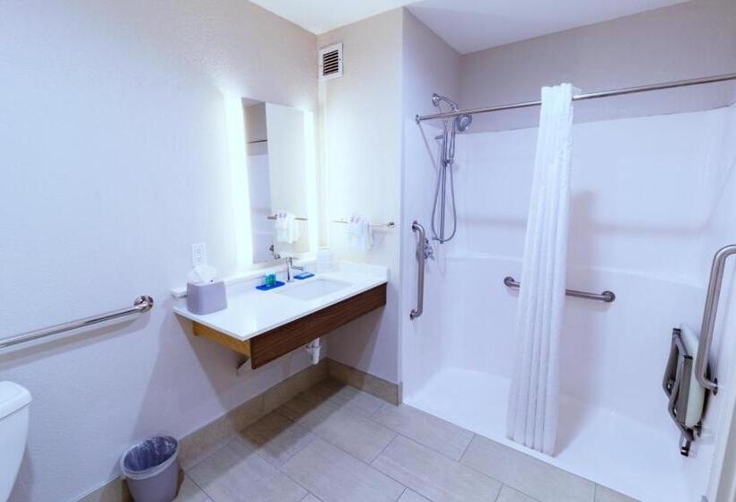 חדר סטנדרט, Holiday Inn Express Hotel & Suites Crestview South I 10, An Ihg