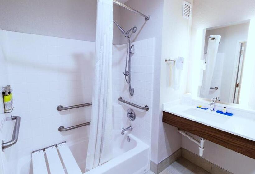 غرفة قياسية لذوى الاحتياجات الخاصة, Holiday Inn Express Hotel & Suites Crestview South I 10, An Ihg