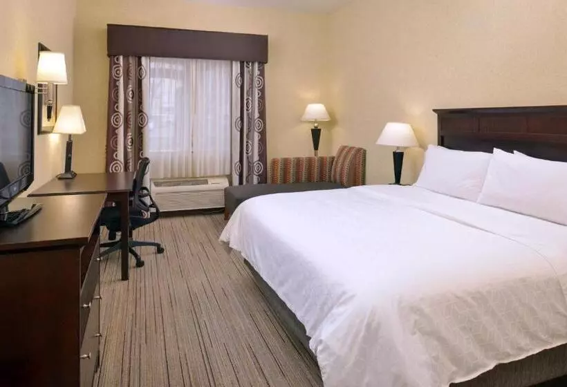 キングサイズベッドのスタンダードルーム, Holiday Inn Express & Suites Nampa   Idaho Center, An Ihg