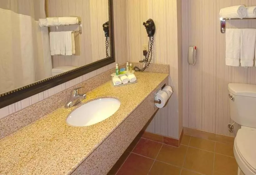 キングサイズベッドのスタンダードルーム, Holiday Inn Express & Suites Nampa   Idaho Center, An Ihg
