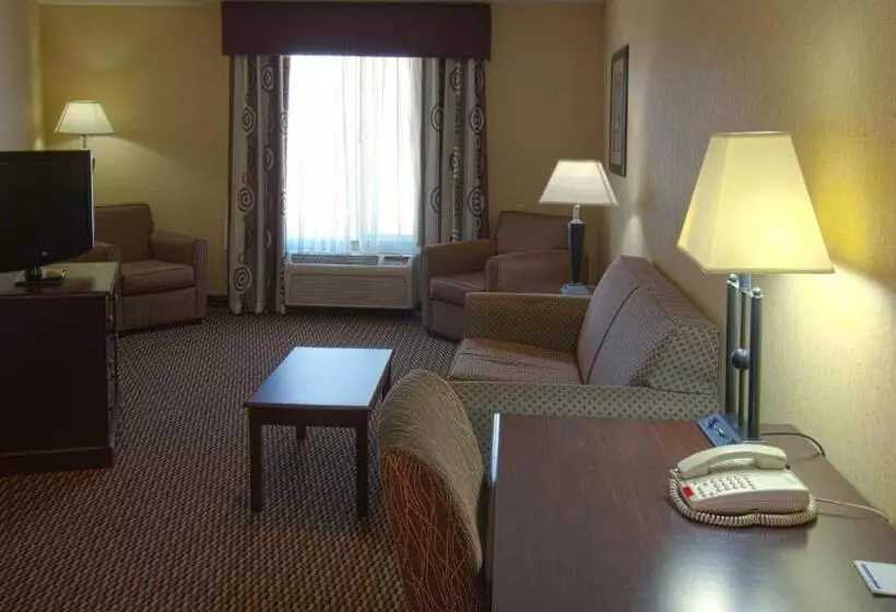 スイート, Holiday Inn Express & Suites Nampa   Idaho Center, An Ihg