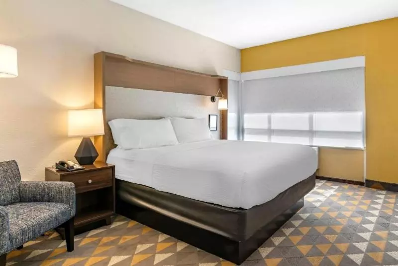 身障者適用キングサイズベッドルーム, Holiday Inn Louisville Airport South, An Ihg