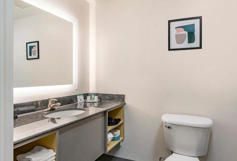 اتاق استاندارد, Holiday Inn Louisville Airport South, An Ihg