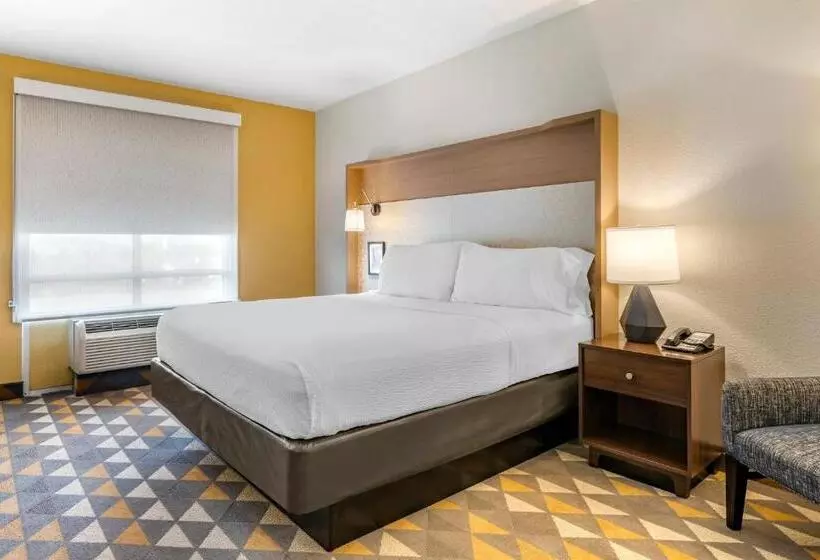 キングサイズベッドのスタンダードルーム, Holiday Inn Louisville Airport South, An Ihg