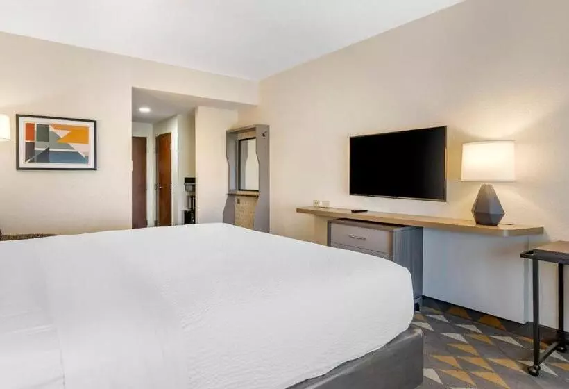 キングサイズベッドのスタンダードルーム, Holiday Inn Louisville Airport South, An Ihg