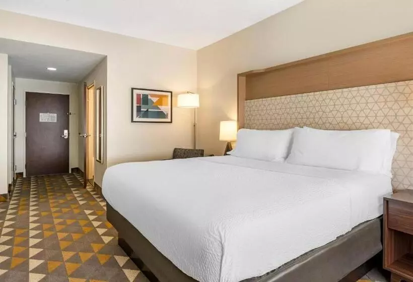 キングサイズベッドのスタンダードルーム, Holiday Inn Louisville Airport South, An Ihg