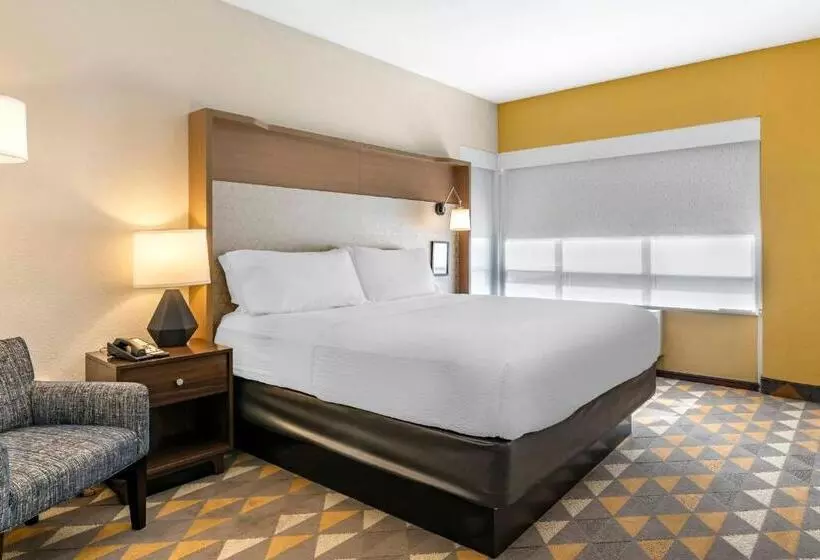 身障者適用キングサイズベッドルーム, Holiday Inn Louisville Airport South, An Ihg
