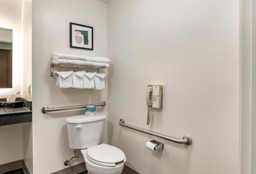 适合残疾人士使用的带超级大床的标准间, Holiday Inn Louisville Airport South, An Ihg