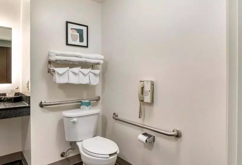 身障者適用キングサイズベッドルーム, Holiday Inn Louisville Airport South, An Ihg
