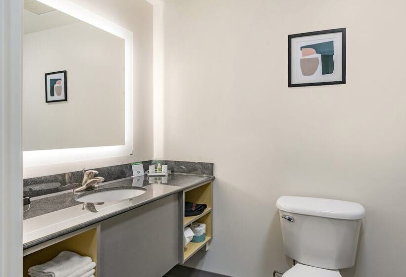 标准间, Holiday Inn Louisville Airport South, An Ihg