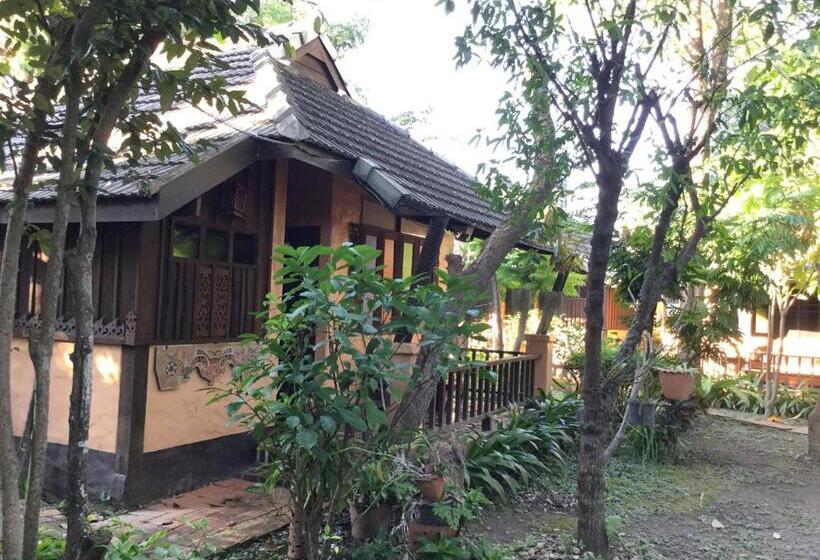 ویلای 1 خوابه, The Royal Shilton Resort