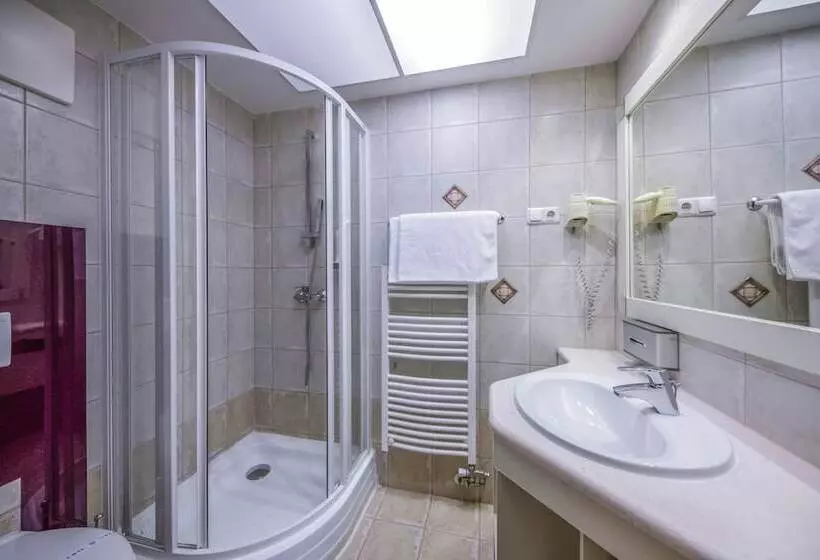 اتاق استاندارد, Residence Hotel Balaton