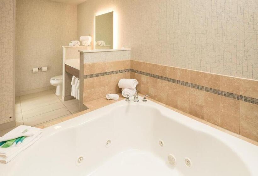 اتاق استاندارد با تخت بزرگ, Baymont By Wyndham Portage Indiana Dunes