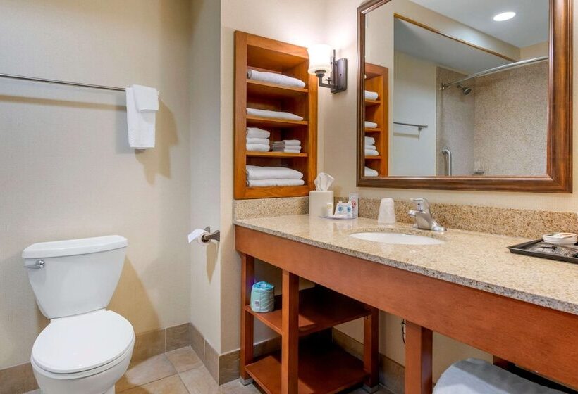 Люкс, Comfort Inn & Suites Mountain Iron And Virginia