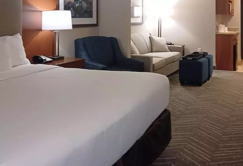 スイート, Comfort Inn & Suites Mountain Iron And Virginia