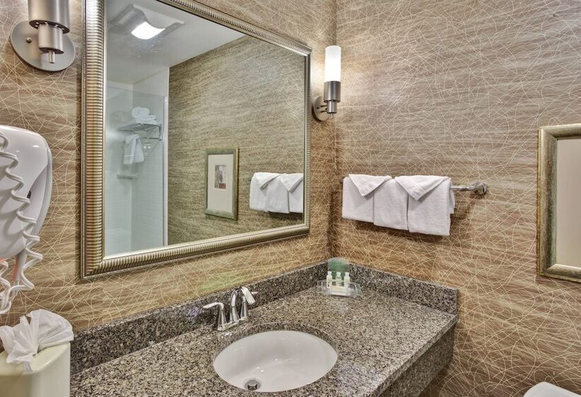 스탠다드 룸, Holiday Inn Detroit Metro Airport, An Ihg