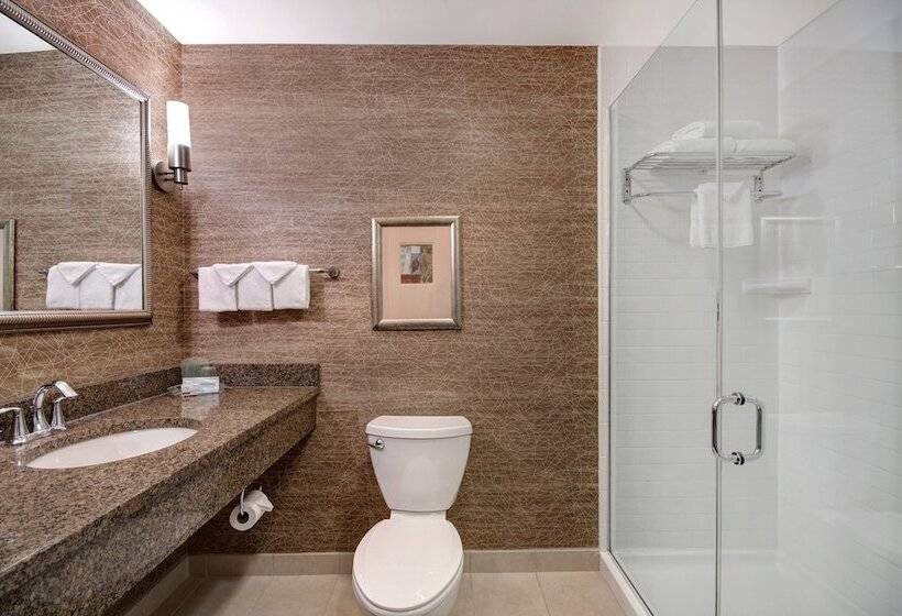 스탠다드 룸, Holiday Inn Detroit Metro Airport, An Ihg