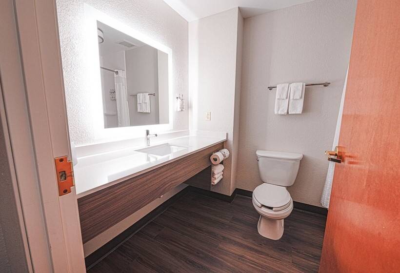 סוויטה מותאמת לאדם עם מוגבלויות, Holiday Inn Express Hotel & Suites East Lansing, An Ihg