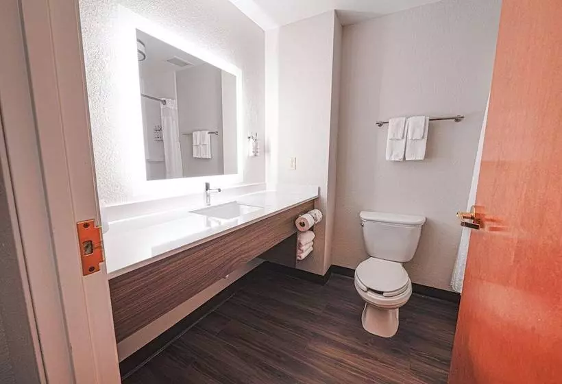 身障者適用スイートルーム, Holiday Inn Express Hotel & Suites East Lansing, An Ihg