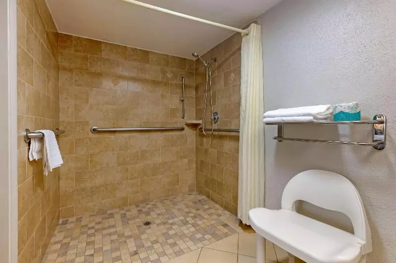 キングサイズベッドのスタンダードルーム, Holiday Inn Express Hotel & Suites East Lansing, An Ihg