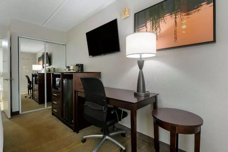 キングサイズベッドのスタンダードルーム, Holiday Inn Express Hotel & Suites East Lansing, An Ihg
