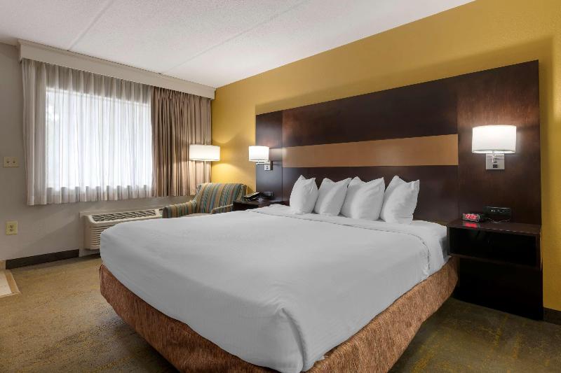 스탠다드 룸 킹사이즈 침대, Holiday Inn Express Hotel & Suites East Lansing, An Ihg