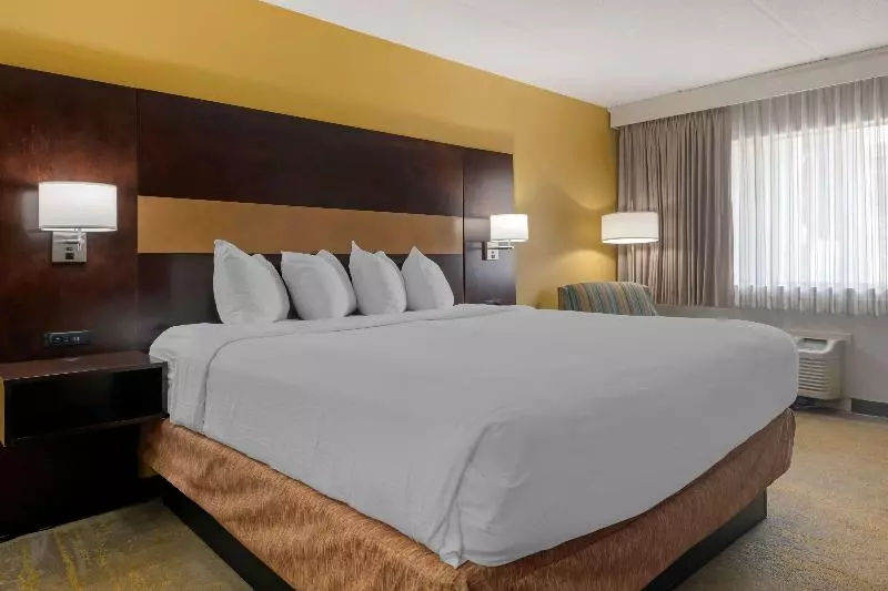 キングサイズベッドのスタンダードルーム, Holiday Inn Express Hotel & Suites East Lansing, An Ihg