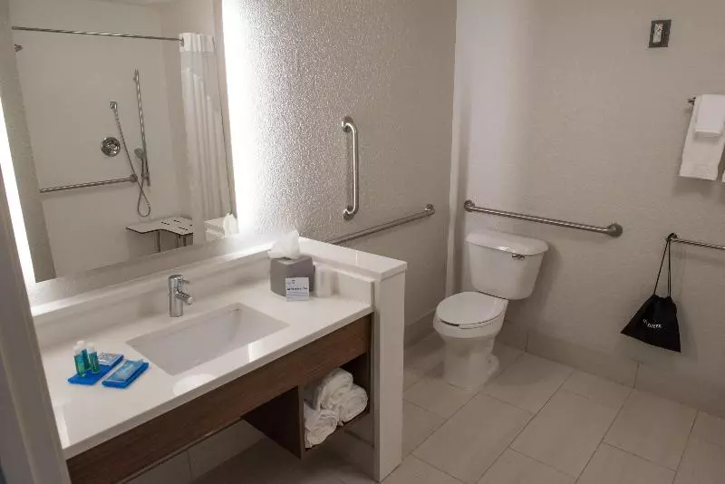 身障者適用スイートルーム, Holiday Inn Express Hotel & Suites East Lansing, An Ihg