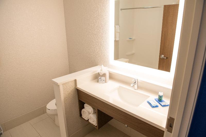 이그제큐티브 스위트, Holiday Inn Express Hotel & Suites East Lansing, An Ihg
