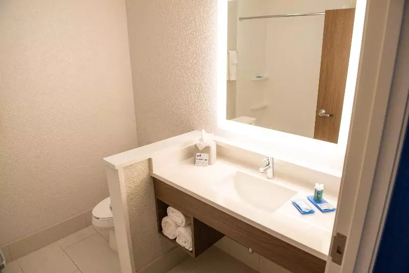 キングサイズベッドのスイートルーム, Holiday Inn Express Hotel & Suites East Lansing, An Ihg