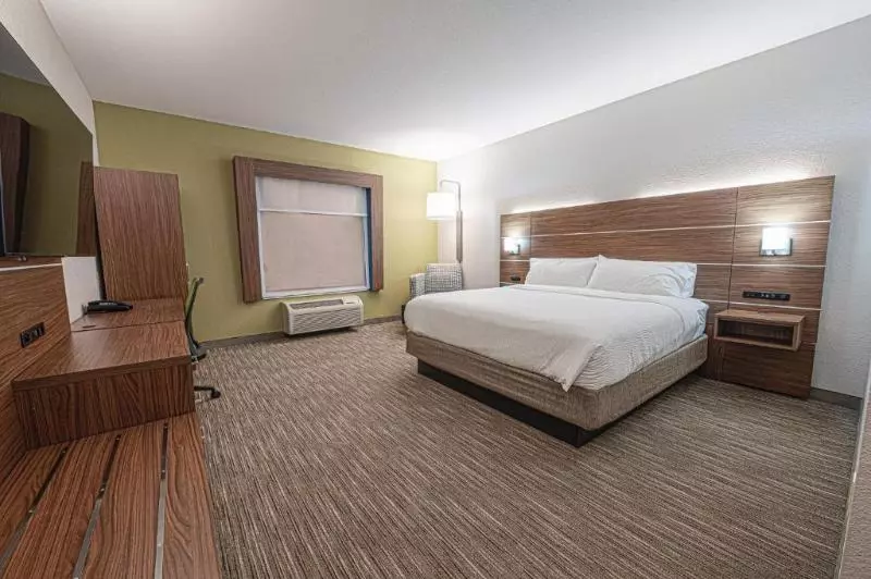 身障者適用キングサイズベッドルーム, Holiday Inn Express Hotel & Suites East Lansing, An Ihg