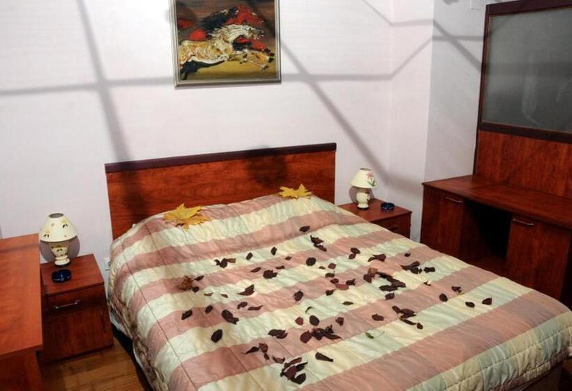 اتاق استاندارد یک نفره, Tomce Sofka