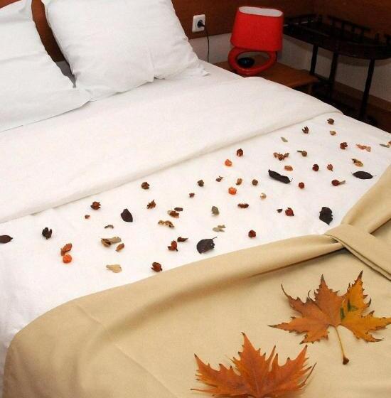 اتاق استاندارد یک نفره, Tomce Sofka