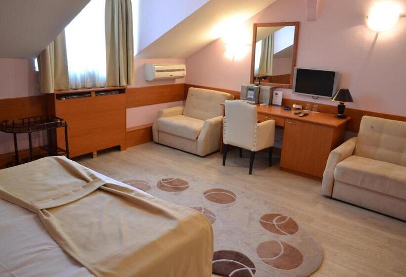 اتاق استاندارد سه نفره, Tomce Sofka