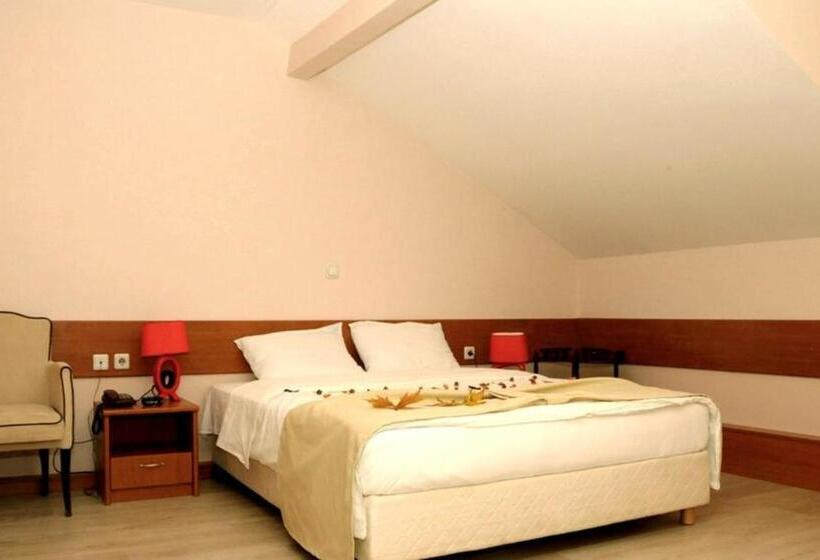 اتاق استاندارد سه نفره, Tomce Sofka