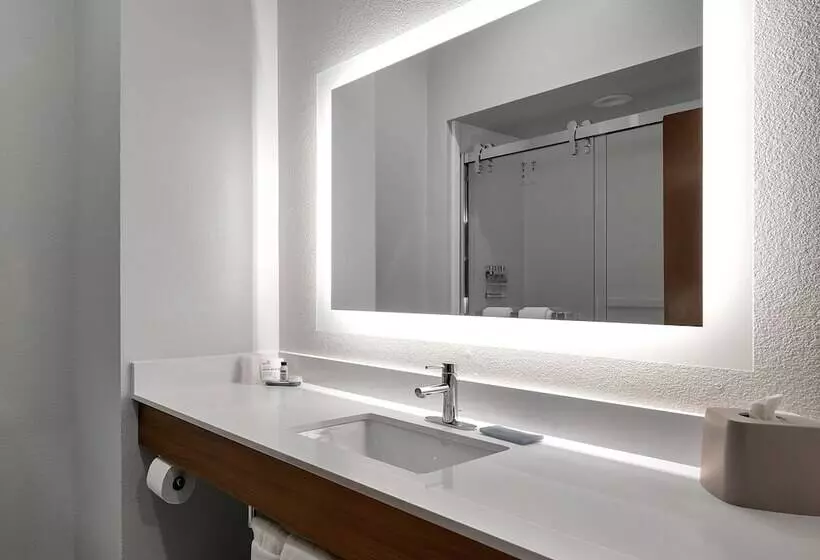 Sviitti Parveke, Holiday Inn Express Hotel & Suites Lufkin South, An Ihg