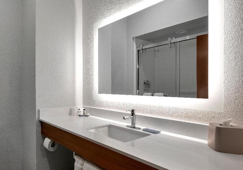 带大床的套房, Holiday Inn Express Hotel & Suites Lufkin South, An Ihg