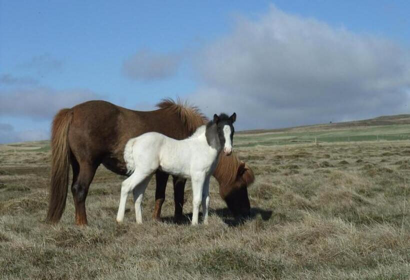 آپارتمان 1 خوابه با چشم‌انداز باغ, Neðra Vatnshorn