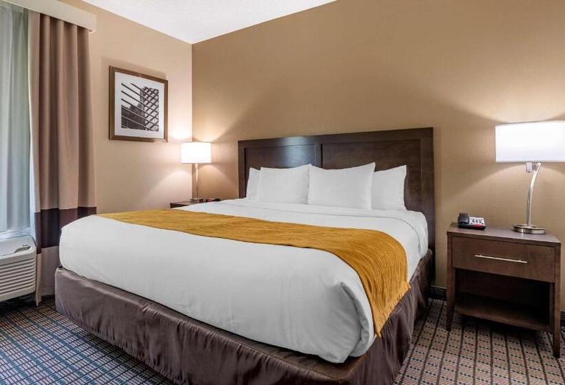 Люкс Кровать Кинг, Comfort Inn & Suites