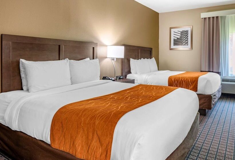 스위트, Comfort Inn & Suites