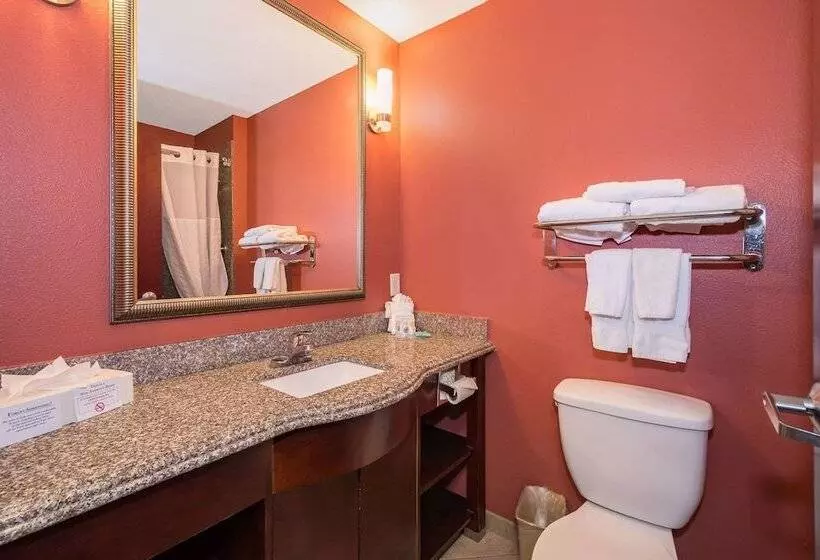 Sviitti Liikuntarajoitteisille, Comfort Inn & Suites Maingate South